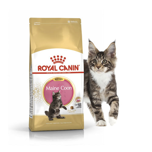 Royal Canin Maine Coon Kitten для котят породы мейн-кун, Cat food, for cats, 10 кг (4756221198406)