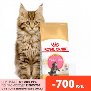 Royal Canin Maine Coon Kitten для котят породы мейн-кун, Cat food, for cats, 4 кг (4756221132870)